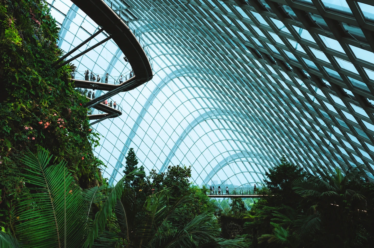 A glass dome over a tropical garden, with people on raised walkways